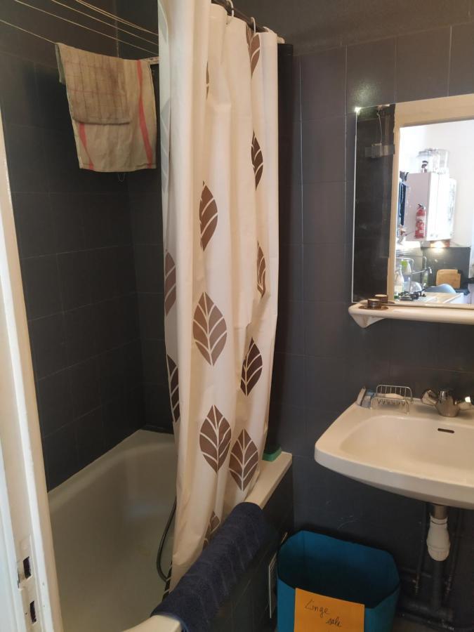 Chaleureux Studio Independant Encausse-les-Thermes Eksteriør billede