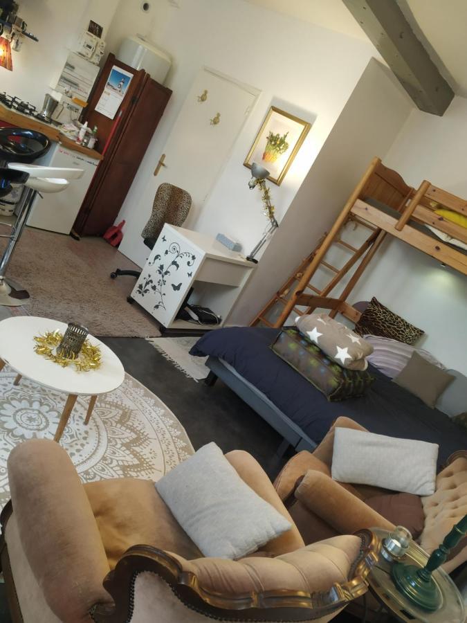 Chaleureux Studio Independant Encausse-les-Thermes Eksteriør billede